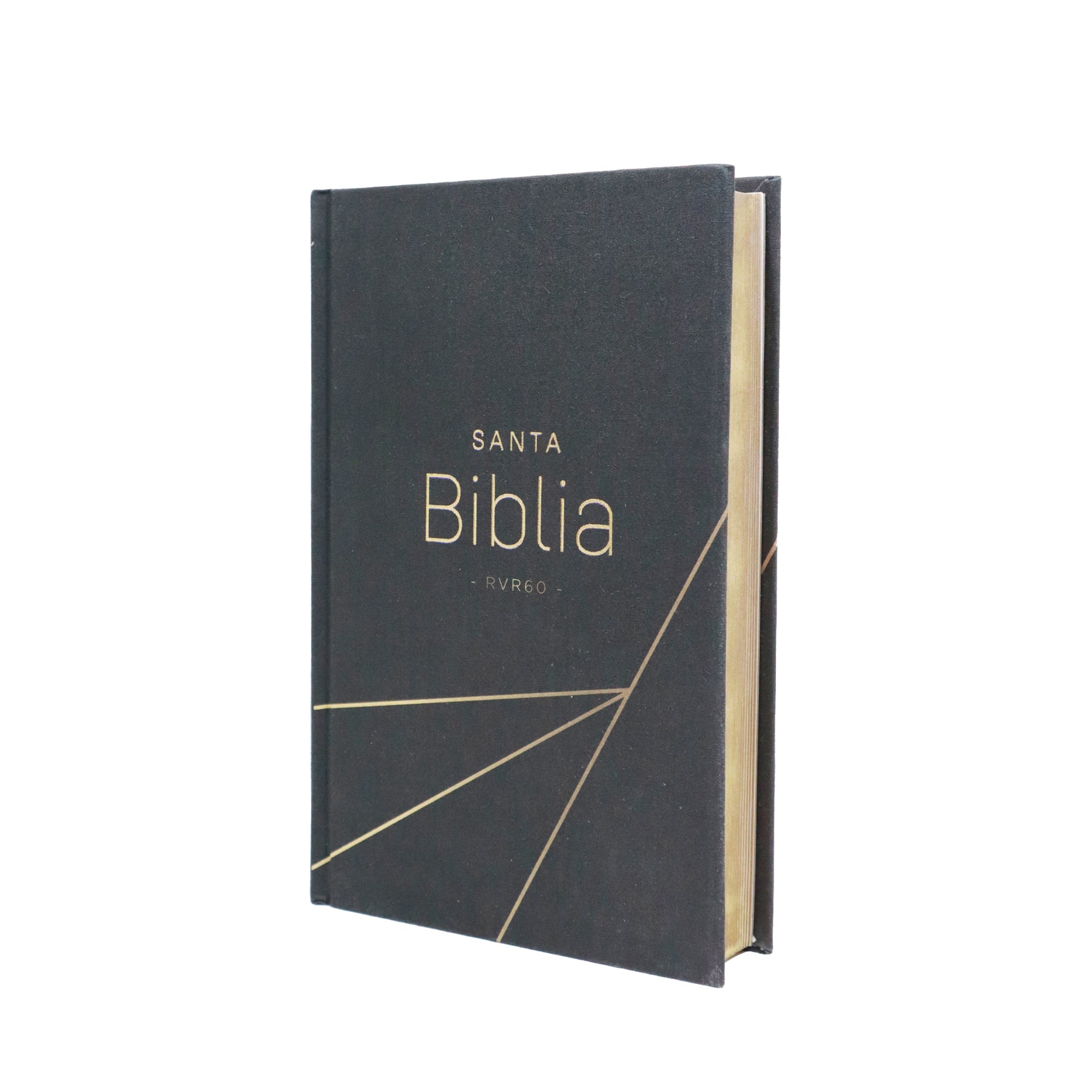 BIBLIA REINA VALERA 1960 LETRA GRANDE MANUAL TAPA DURA/NEGRO TELA