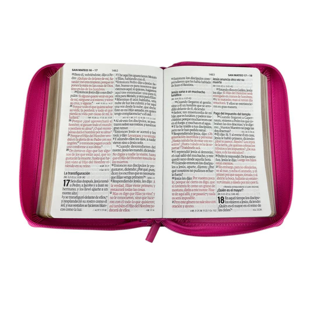 BIBLIA REINA VALERA 1960 LETRA GRANDE COMPACTA/ CIERRE IMITACION PIEL