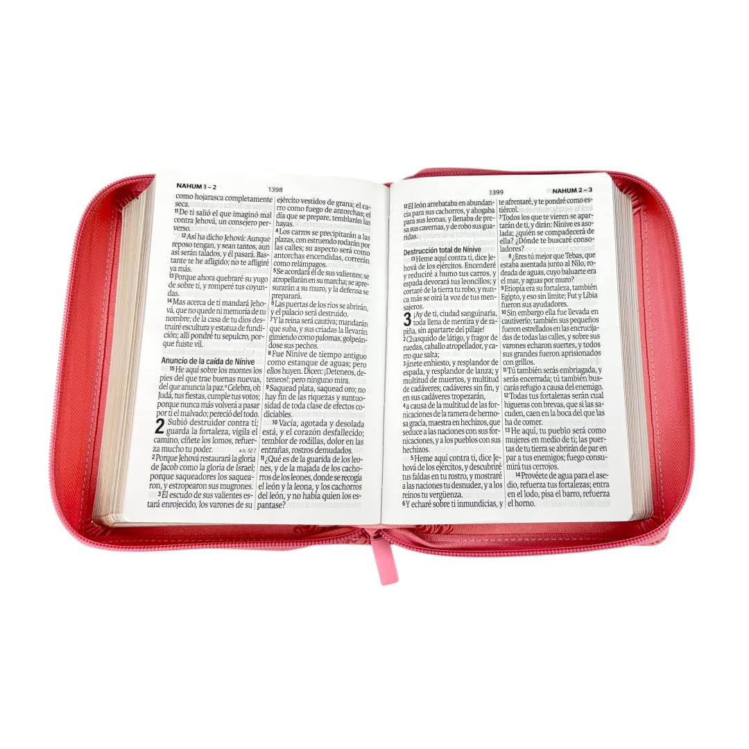 BIBLIA REINA VALERA 1960 LETRA GRANDE COMPACTA/ CIERRE IMITACION PIEL