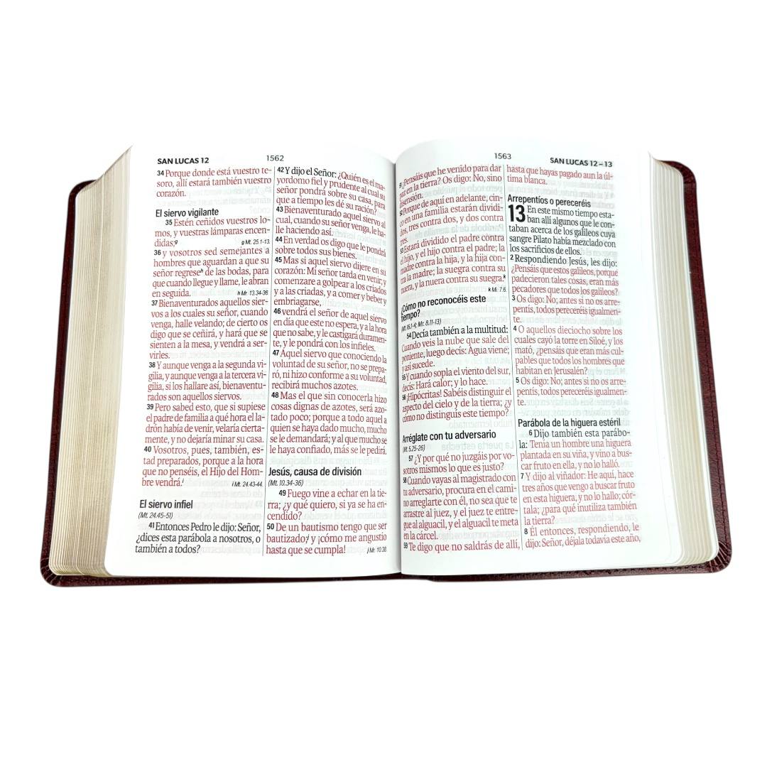 BIBLIA REINA VALERA 1960 LETRA GRANDE COMPACTA IMITACION PIEL/ MARCO