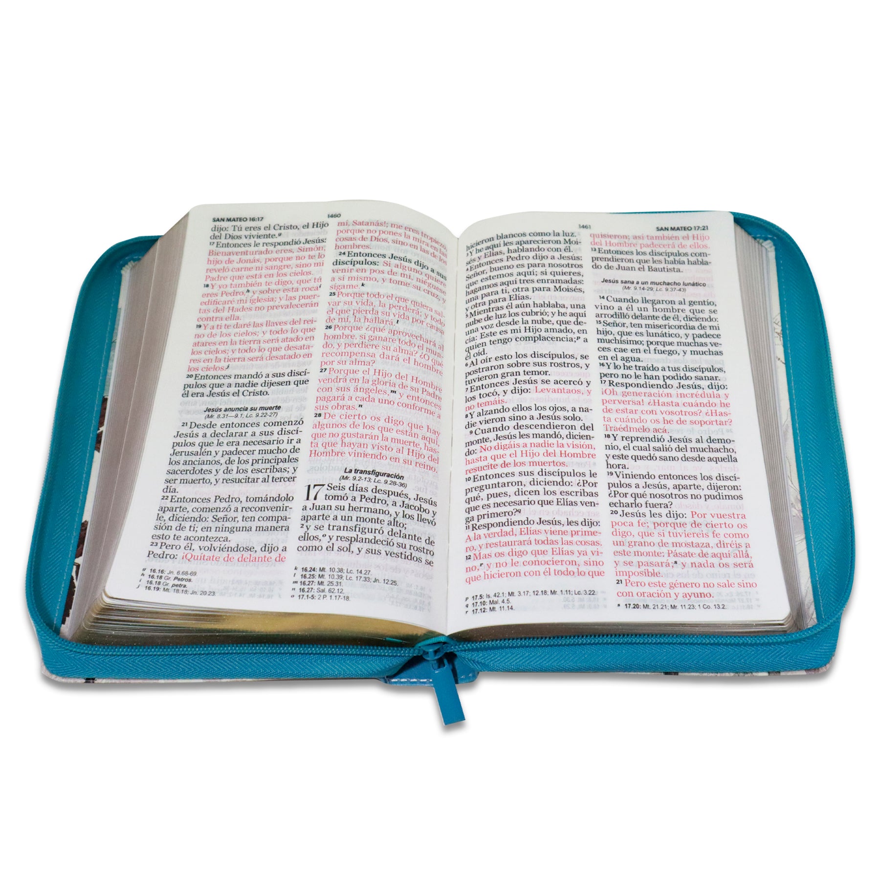 BIBLIA REINA VALERA 1960 LETRA GIGANTE FLORES TURQUESA