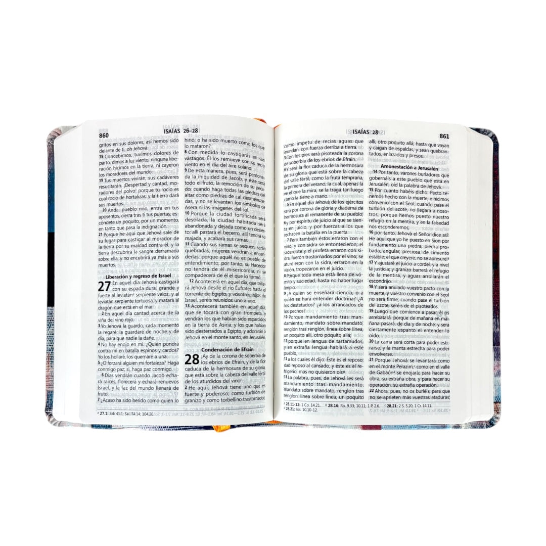 BIBLIA REINA VALERA 1960 COMPACTA COLORES JASPEADO