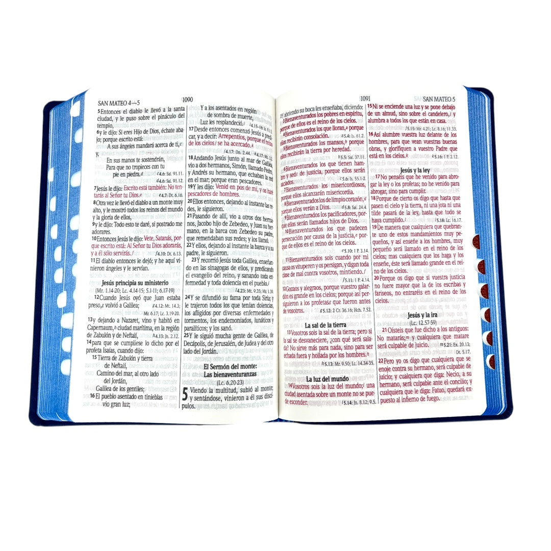 BIBLIA REINA VALERA 1960 LETRA GRANDE IMITACION PIEL AZUL RELIEVE C/INDICE