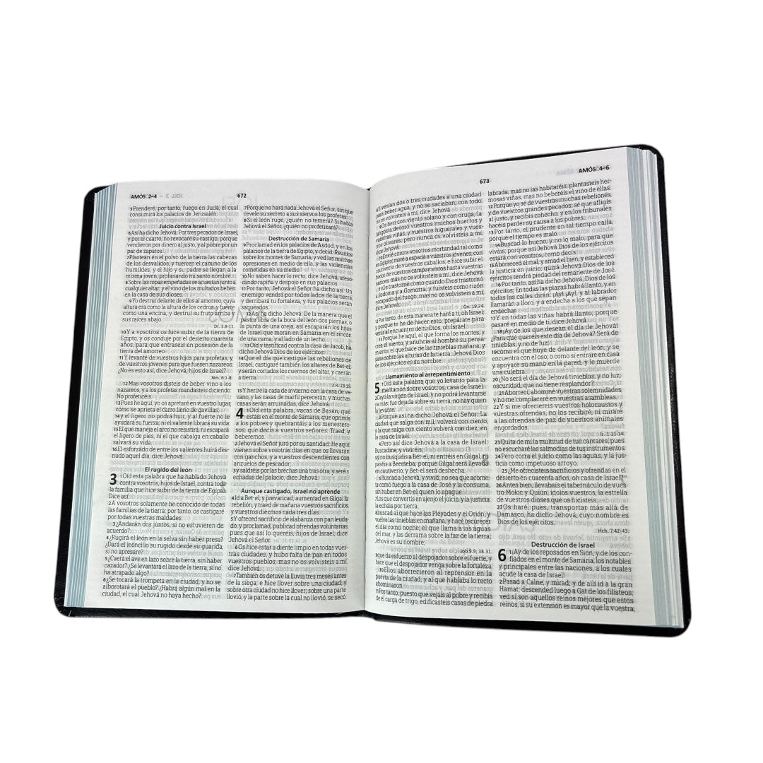 BIBLIA REINA VALERA 1960 MEDIANA IMITACION PIEL NEGRO