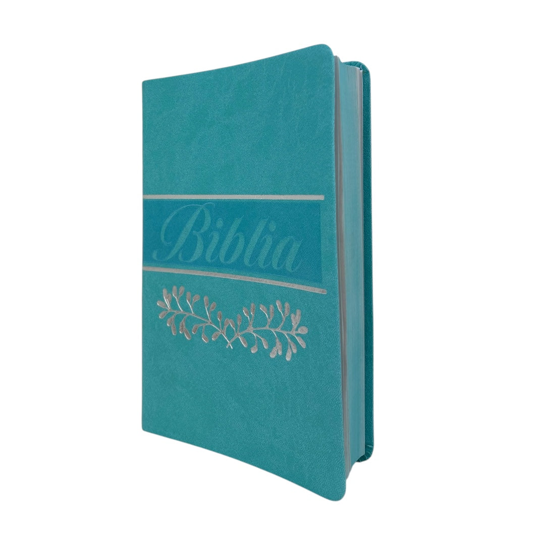 BIBLIA REINA VALERA 1960 MEDIANA IMITACIÓN PIEL VERDE MENTA