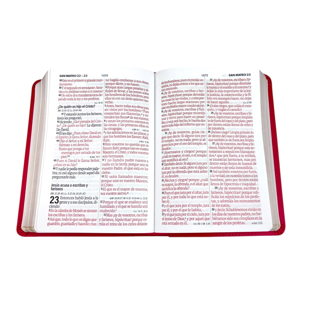 BIBLIA REINA VALERA 1960 LETRA GRANDE COMPACTA IMITACION PIEL/ MARCO