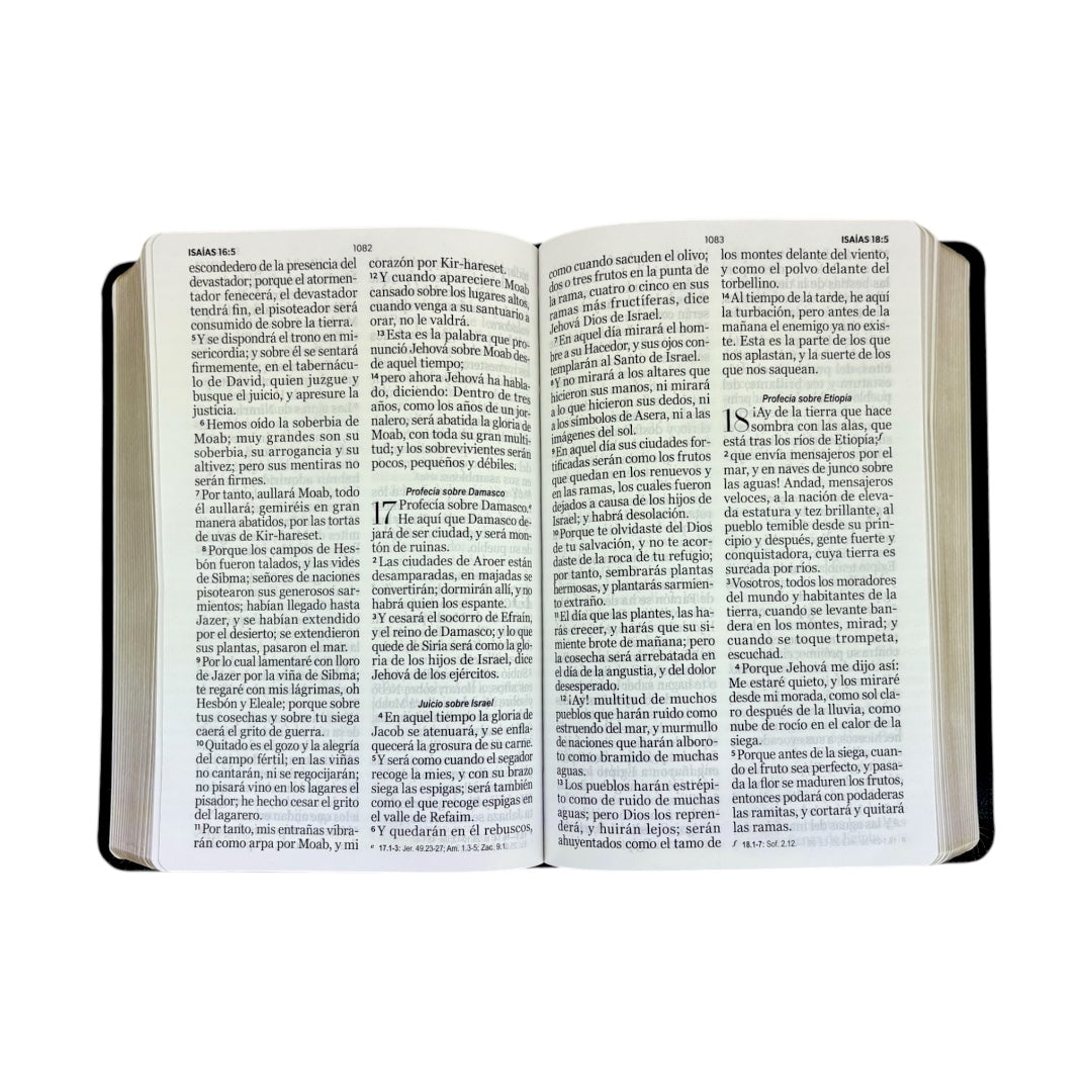 BIBLIA REINA VALERA 1960 LETRA GIGANTE IMITACION PIEL CANTO DORADO COLECCIÓN CORINTO