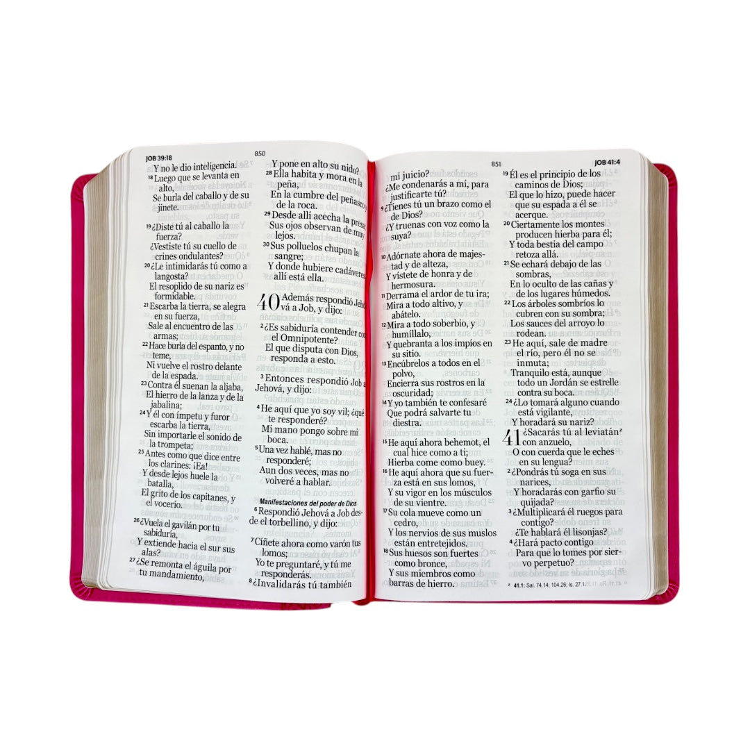 BIBLIA REINA VALERA 1960 LETRA GIGANTE CANTO DORADO IMITACION PIEL /CORINTO