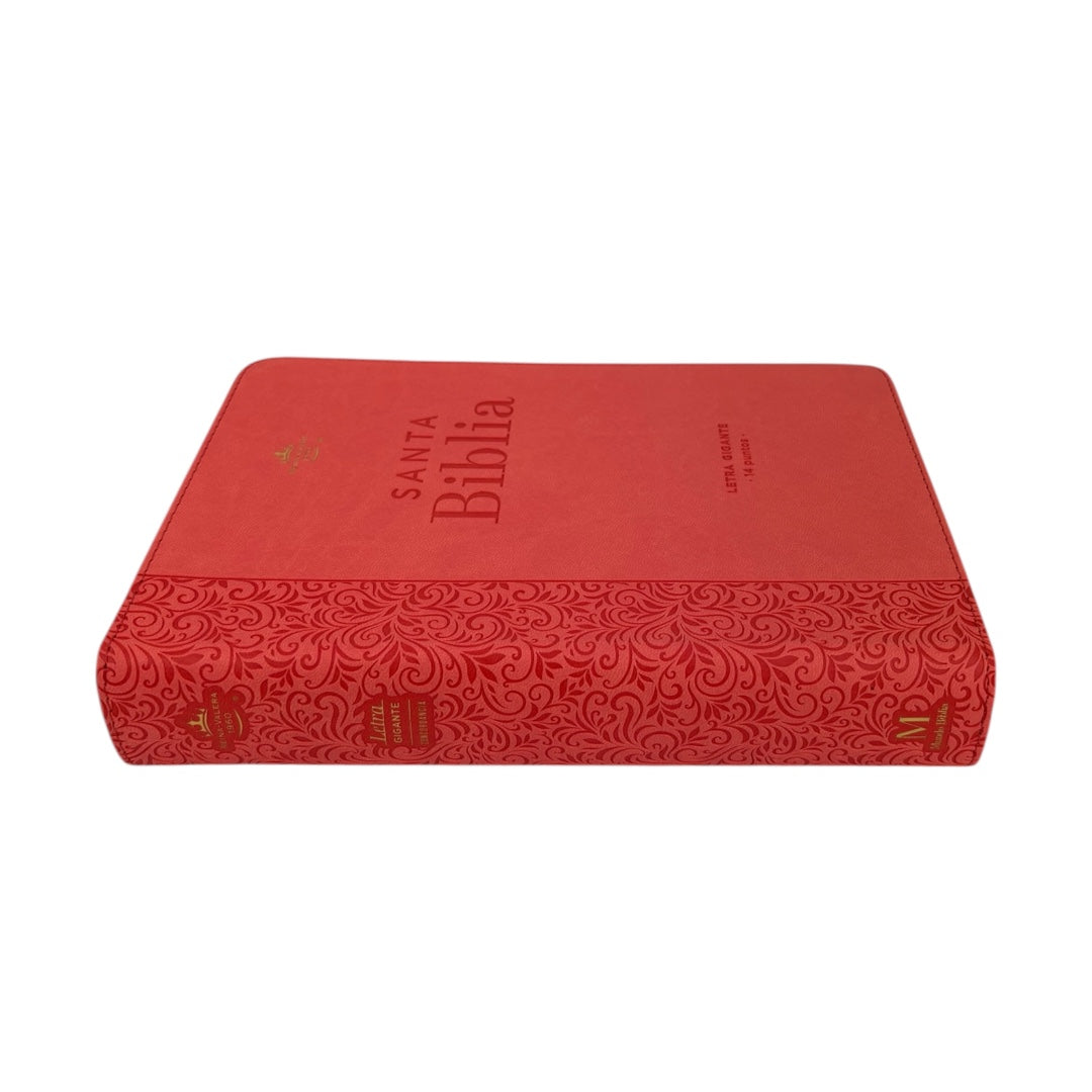 BIBLIA REINA VALERA 1960 LETRA GIGANTE CANTO DORADO IMITACION PIEL /CORINTO