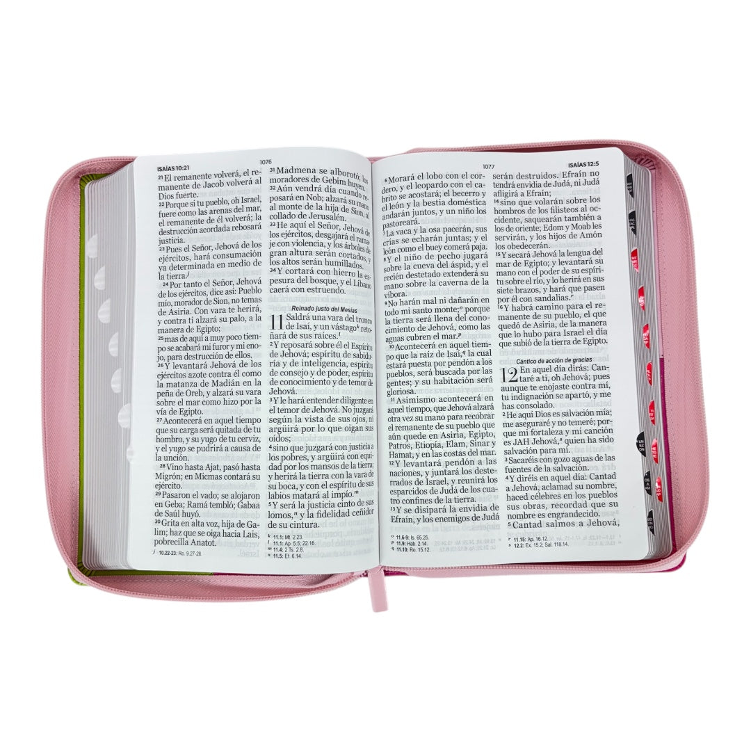 BIBLIA REINA VALERA 1960 LETRA GIGANTE IMITACION PIEL ICONIC C/CIERRE INDICE