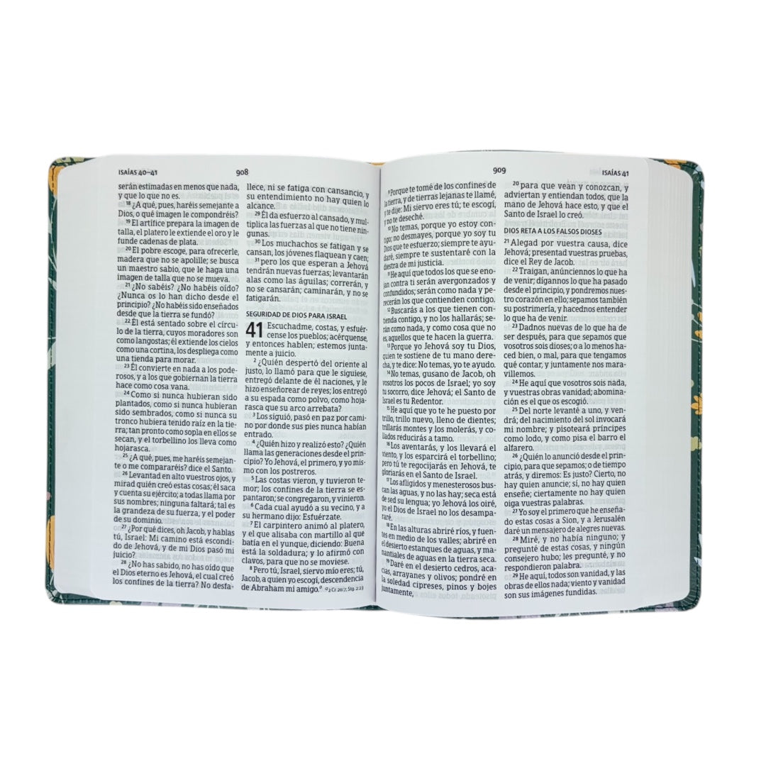 BIBLIA REINA VALERA 1960 LETRA GRANDE MANUAL VERDE FLORAL EDICIÓN ESPECIAL