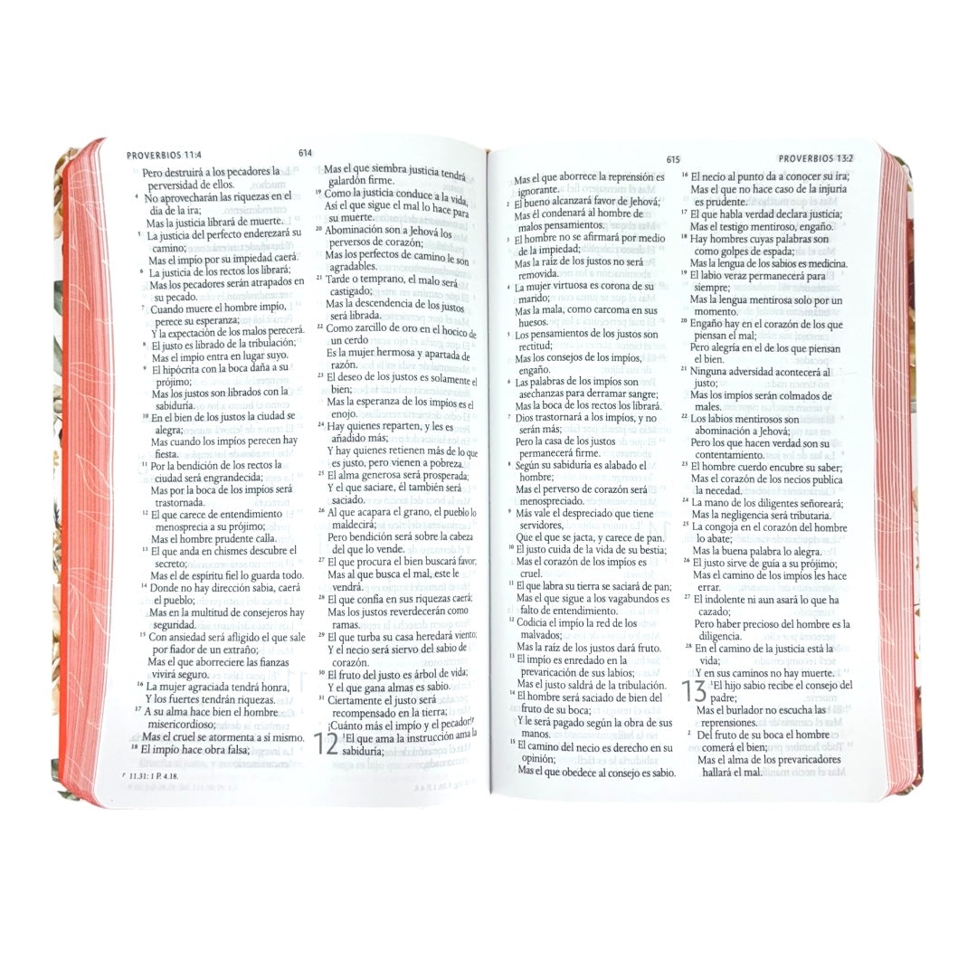 BIBLIA REINA VALERA 1960 LETRA GRANDE TAPA DURA FLORES NARANJA