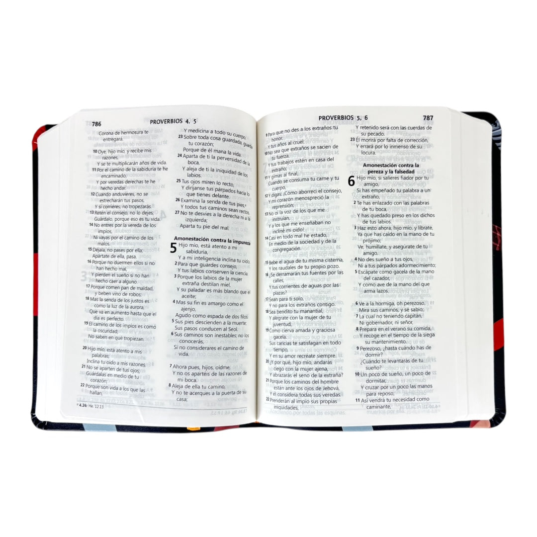 BIBLIA REINA VALERA 1960 COMPACTA IMIT PIEL COLORES