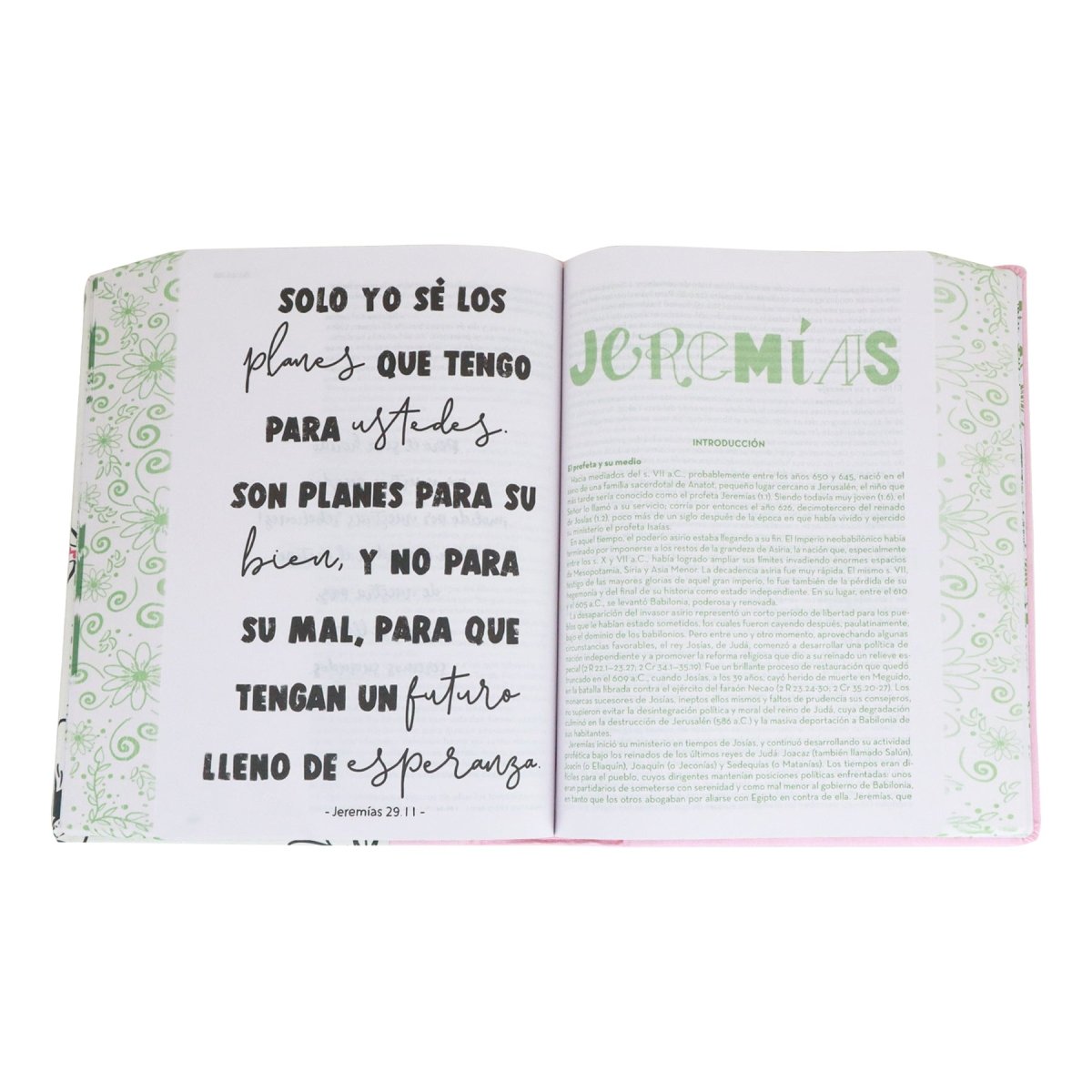 BIBLIA ARTE REINA VALERA CONTEMPORANEA TAPA DURA ROSA