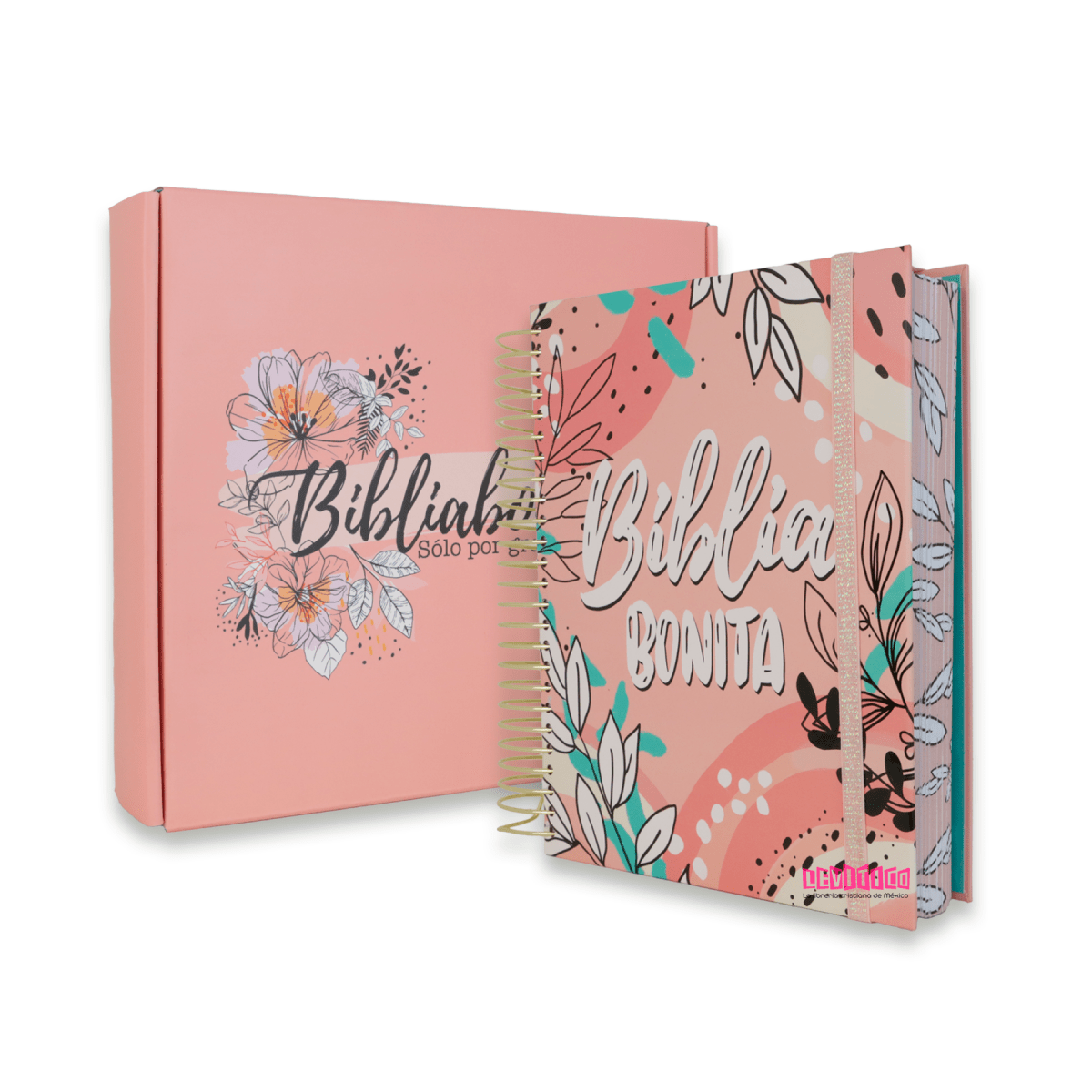 Biblia Bonita (Biblia en espiral Dorado) RV1602