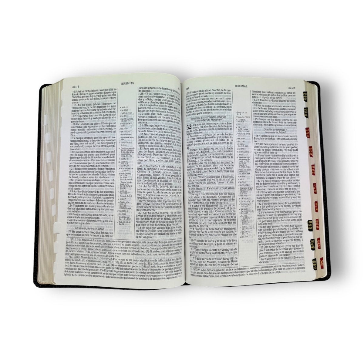 Biblia de Estudio Scofield RVR60 Piel Fabricada Negro con indice (Nueva edición)