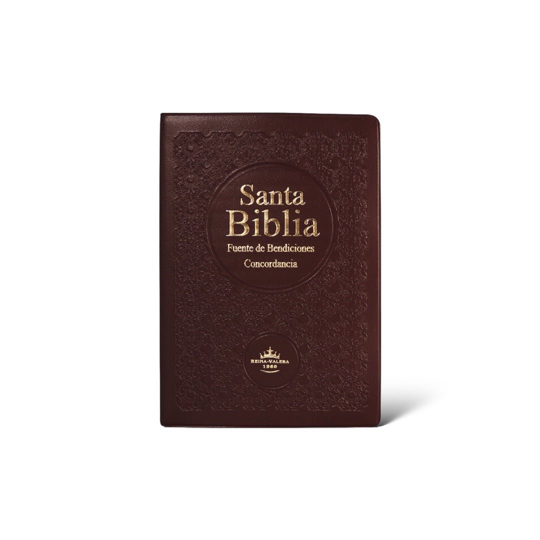 BIBLIA REINA VALERA 1960 FUENTE DE BENDICIONES CANTO PINTADO VINO