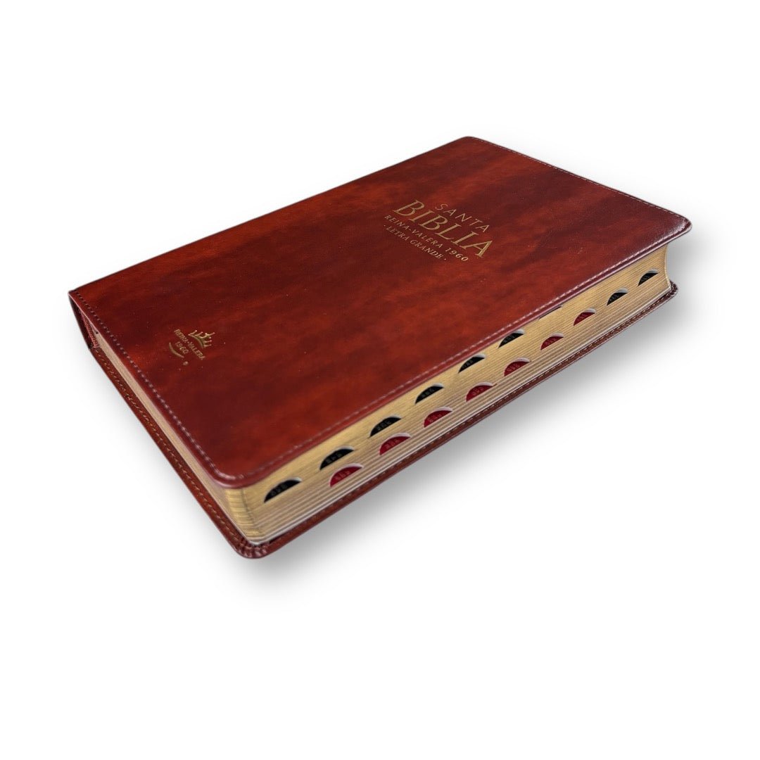 BIBLIA REINA VALERA 1960 LETRA GRANDE CLASICA CAFE INIDCE