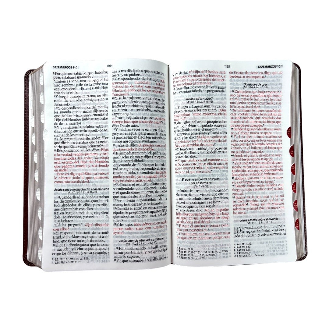 BIBLIA REINA VALERA 1960 LETRA GRANDE CLASICA CAFE INIDCE