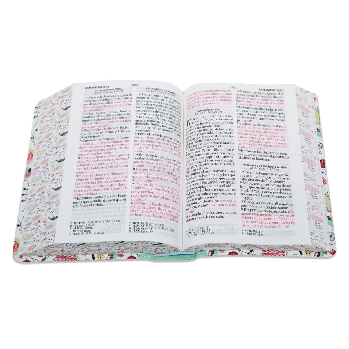 BIBLIA REINA VALERA 1960 LETRA GRANDE COMPACTA/ CANTO PINTADO