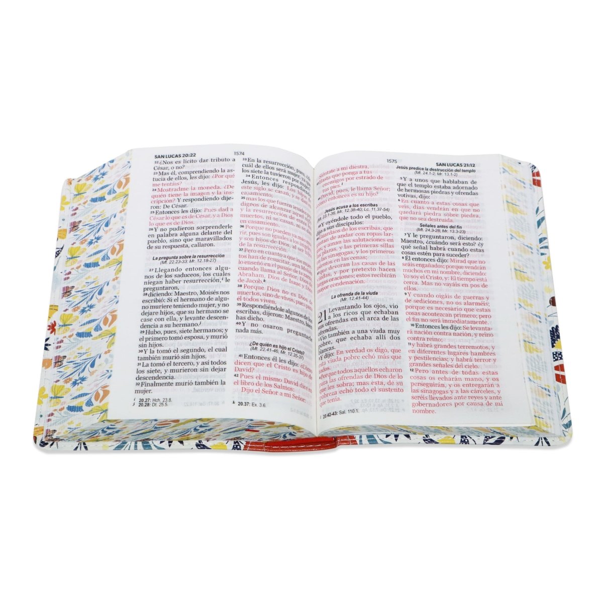 BIBLIA REINA VALERA 1960 LETRA GRANDE COMPACTA/ CANTO PINTADO