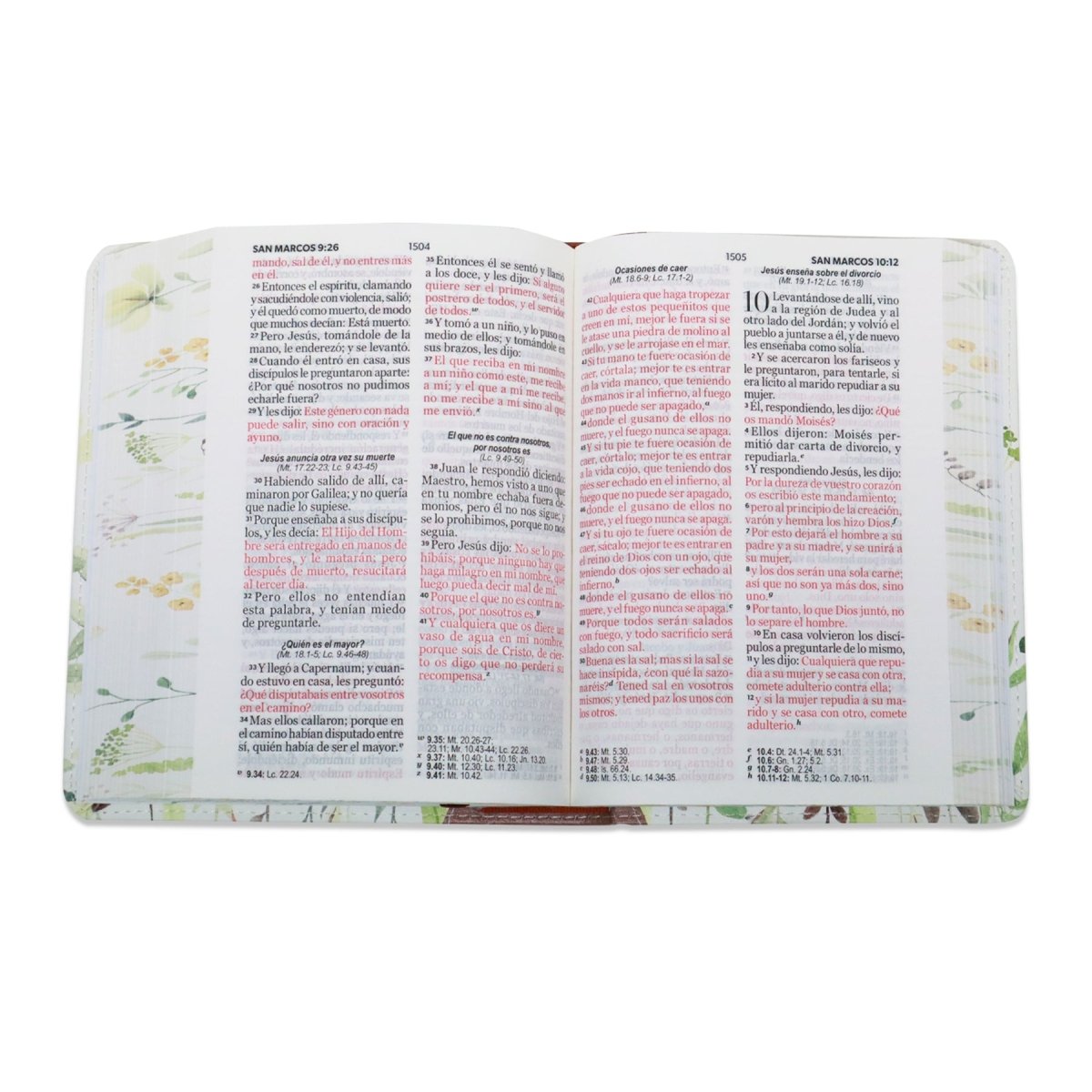 BIBLIA REINA VALERA 1960 LETRA GRANDE COMPACTA/ CANTO PINTADO