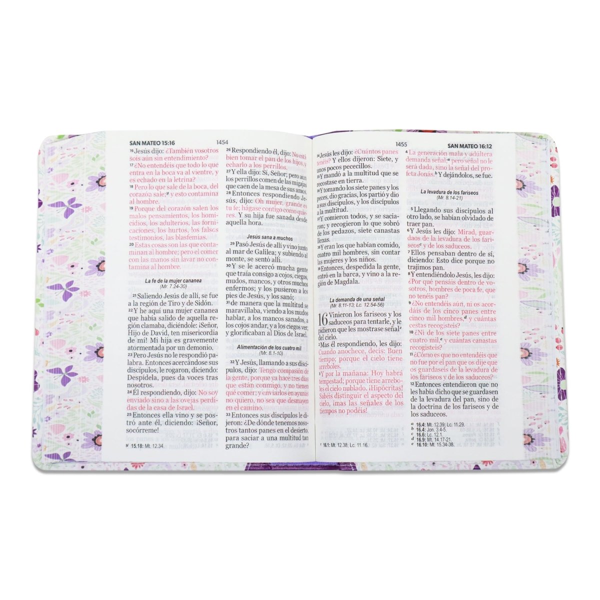 BIBLIA REINA VALERA 1960 LETRA GRANDE COMPACTA/ CANTO PINTADO