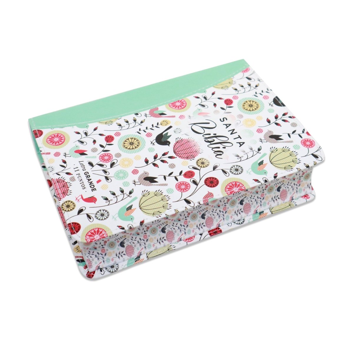 BIBLIA REINA VALERA 1960 LETRA GRANDE COMPACTA/ CANTO PINTADO