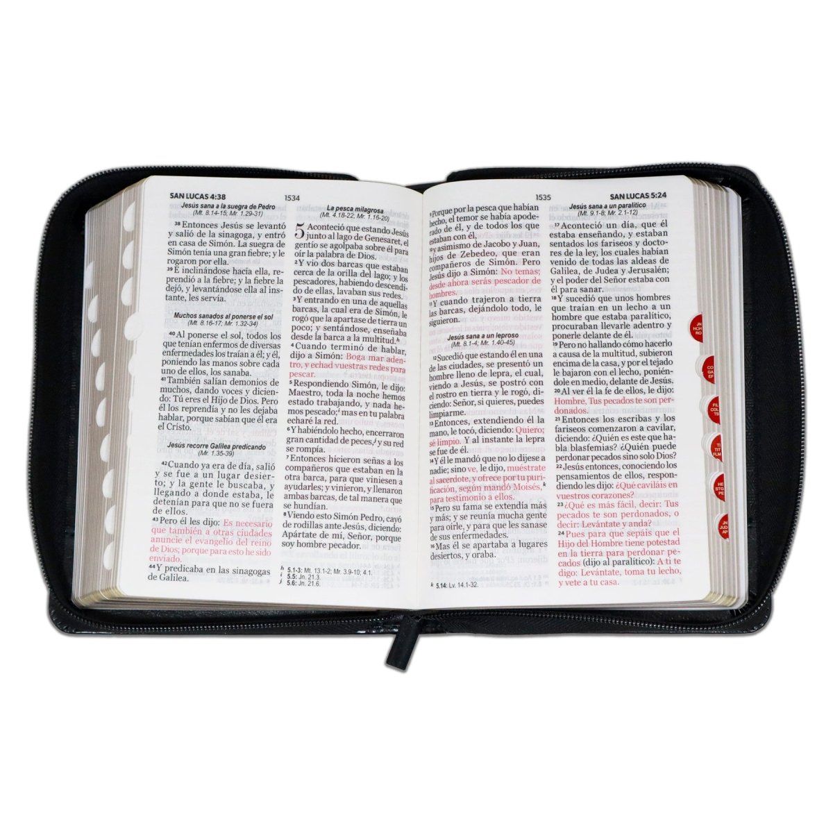 BIBLIA REINA VALERA 1960 LETRA GRANDE COMPACTA LEÓN NEGRO