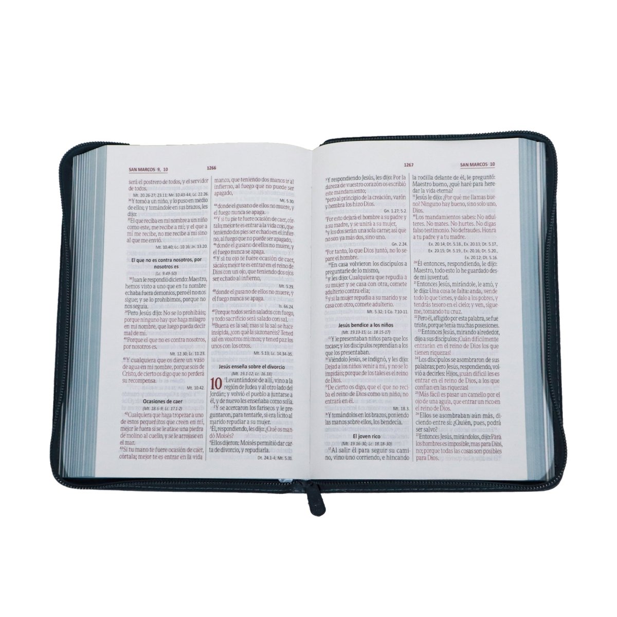 BIBLIA REINA VALERA 1960 LETRA GRANDE IMIT PIEL GRIS C/CIERRE