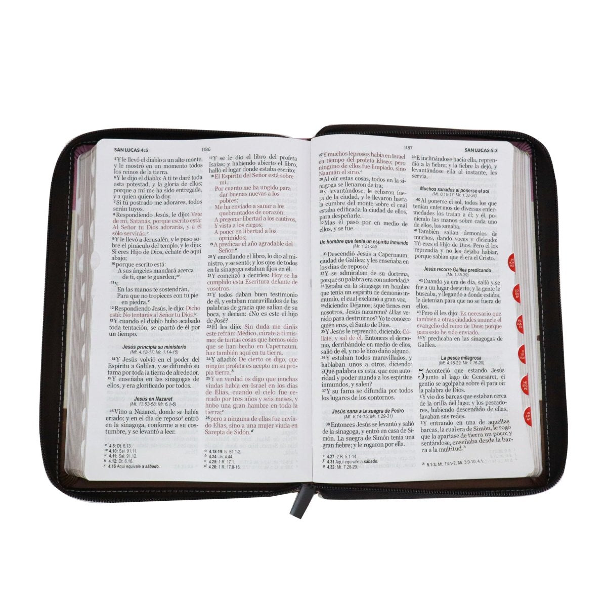 BIBLIA REINA VALERA 1960 LETRA GRANDE MANUAL C/CIERRE FANTASÍA ROSA