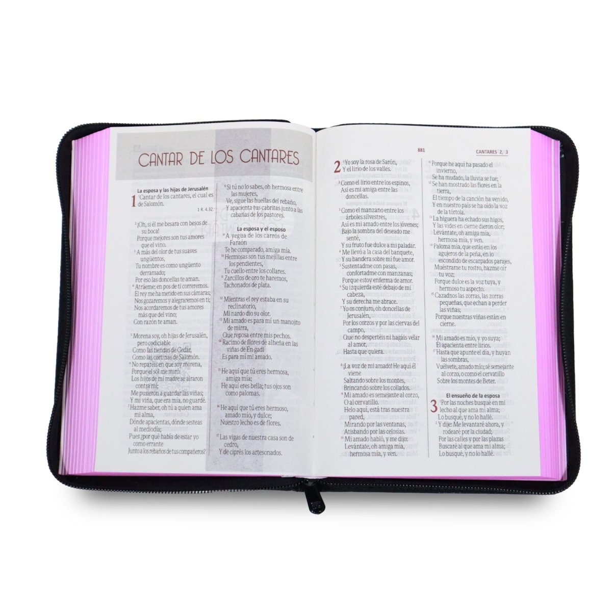 BIBLIA REINA VALERA 1960 LETRA GRANDE NEGRO FLORES CANTO FUCSIA