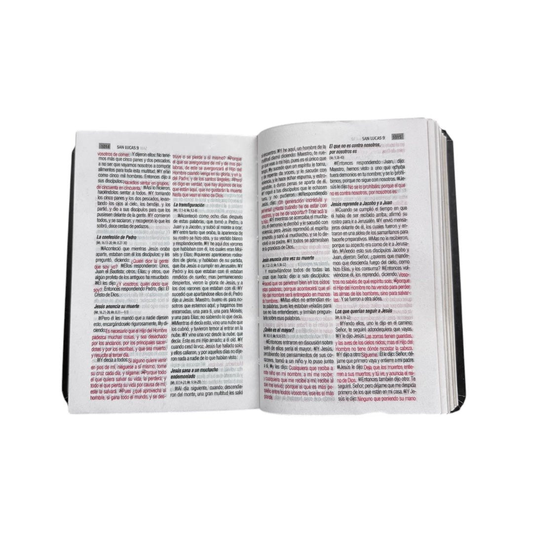 BIBLIA REINA VALERA 1960 MINI BOLSILLO SEMIFLEXIBLE LEÓN AZUL