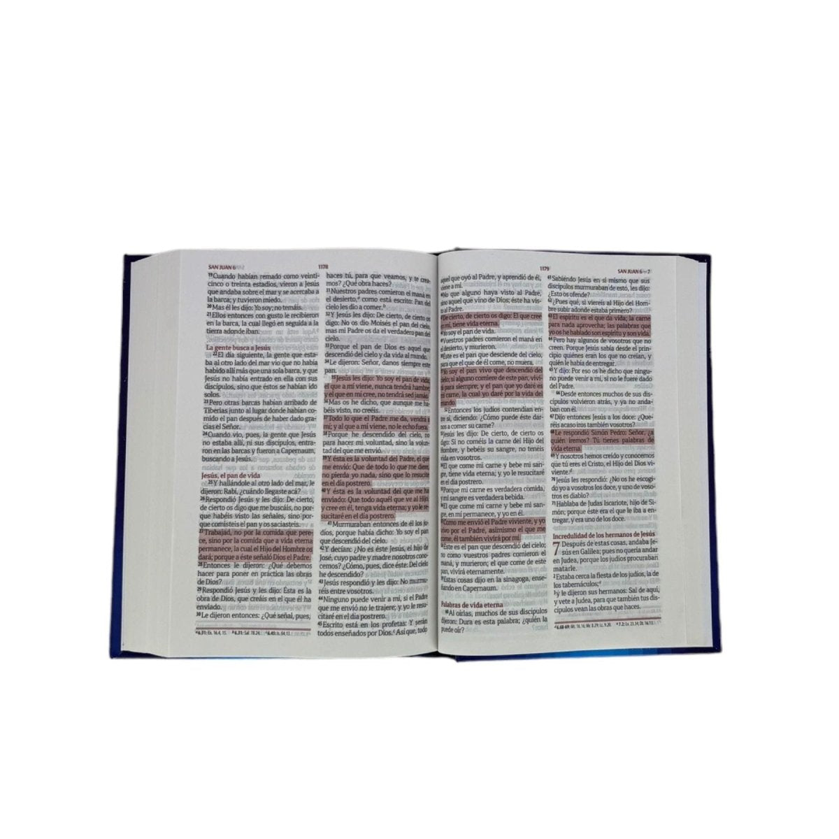 BIBLIA RVR1960 FUENTE DE BENDICIONES COMPACTA TAPA DURA AZUL