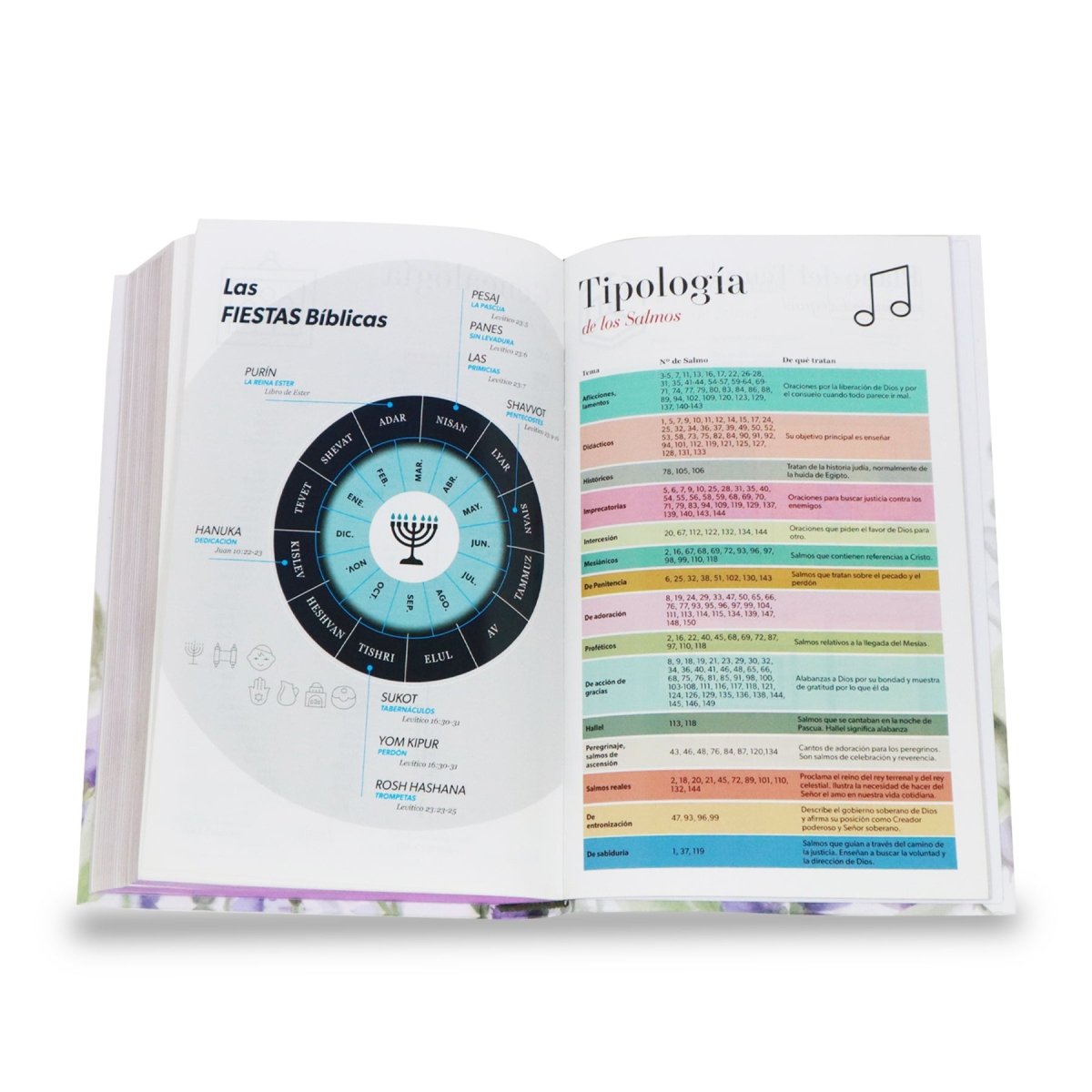 BIBLIA RVR1960 MANUAL LETRA GRANDE TAPA DURA MULTIBRISA /TELA