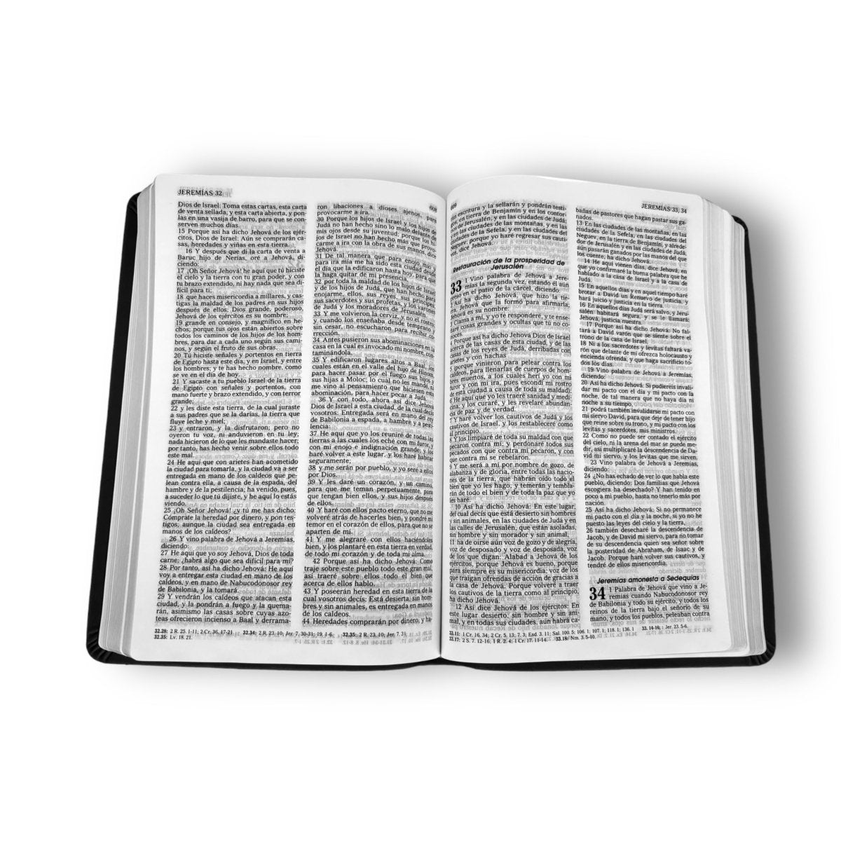 Santa Biblia Reina Valera 1960 Mediana Letra Mediana Imitación Piel Marrón