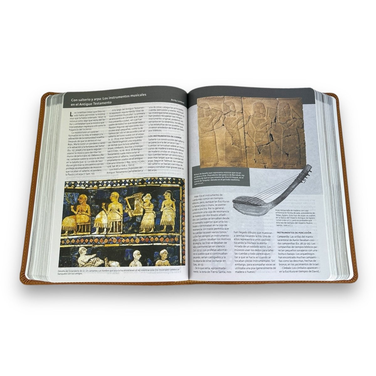 Santa Biblia RVR 1960 ilustrada de la Tierra Santa, café símil piel