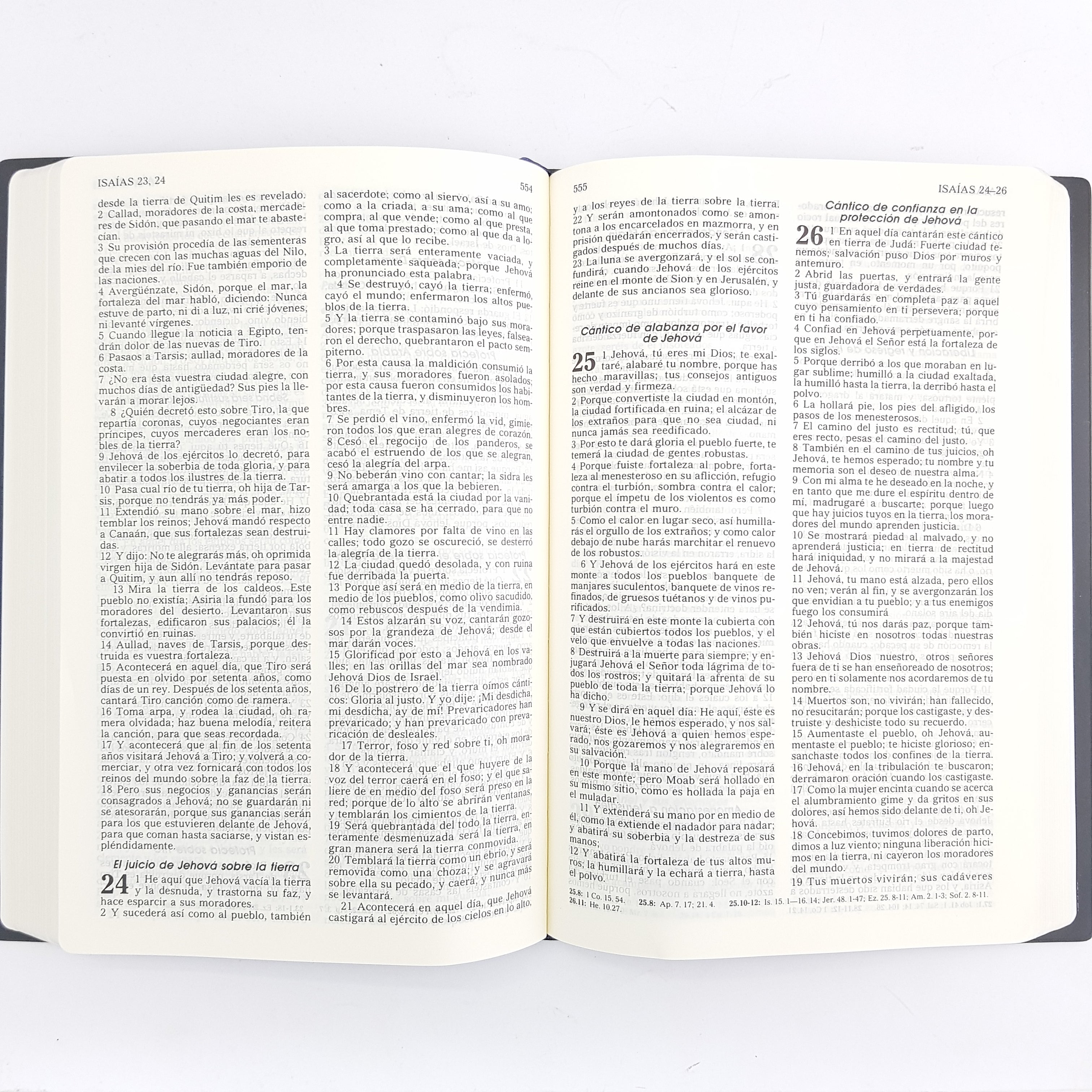 Santa Biblia RVR1960 Ultrafina canto dorado Colores