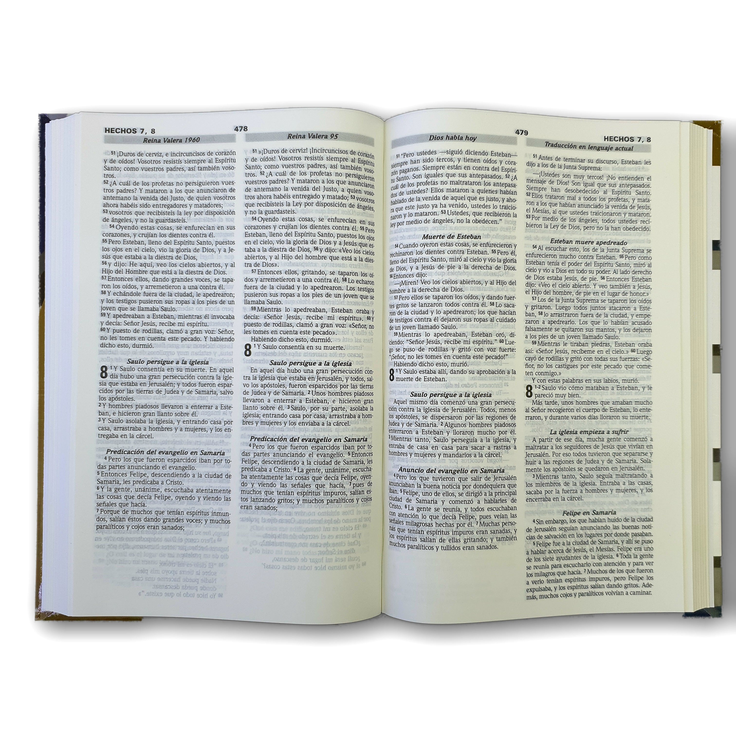 Nuevo testamento Multiversiones