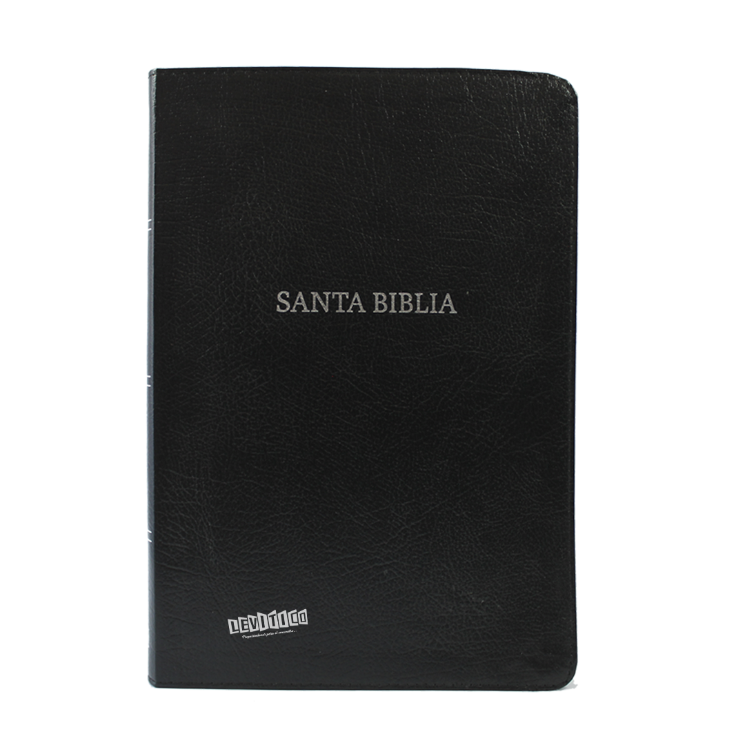 Santa Biblia RVR1960 Holman Letra gigante (Negro)