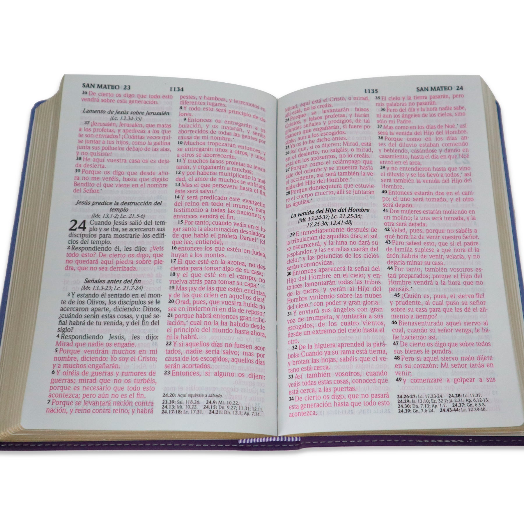 SANTA BIBLIA REINA VALERA1960 LETRA GRADE/ IMIT PIEL LILA