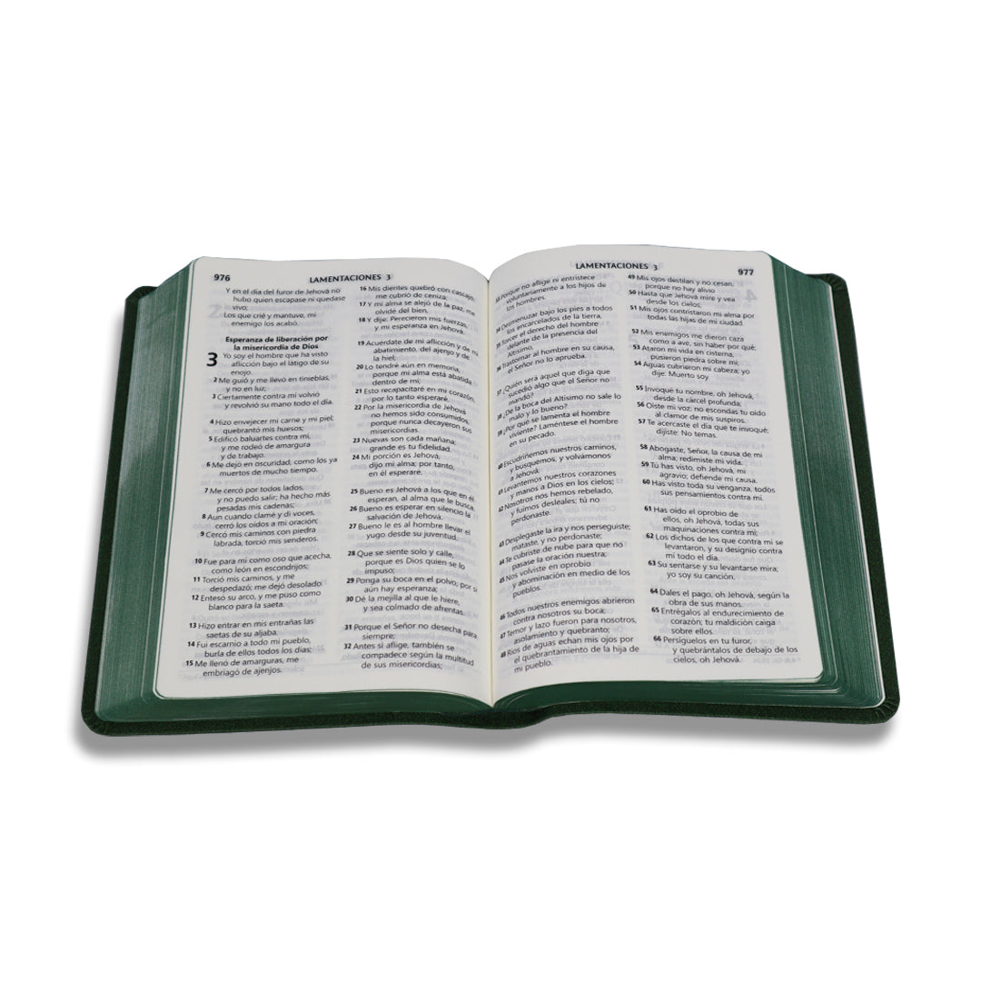 SANTA BIBLIA RV1960 LETRA GRANDE CON REFERENCIAS