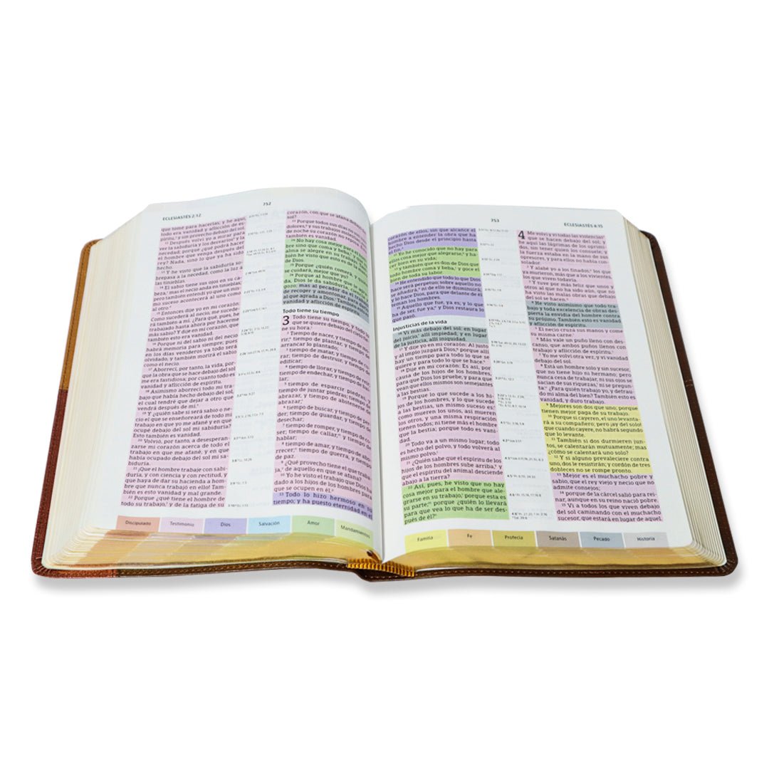 BIBLIA DE ESTUDIO ARCOIRIS RV1960/ TERRACOTA SIMIL PIEL