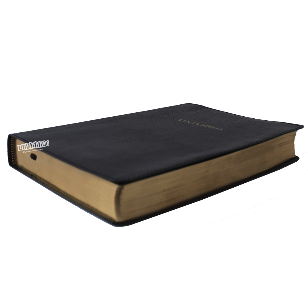 Biblia de estudio Scofield (Piel fabricada) Negro