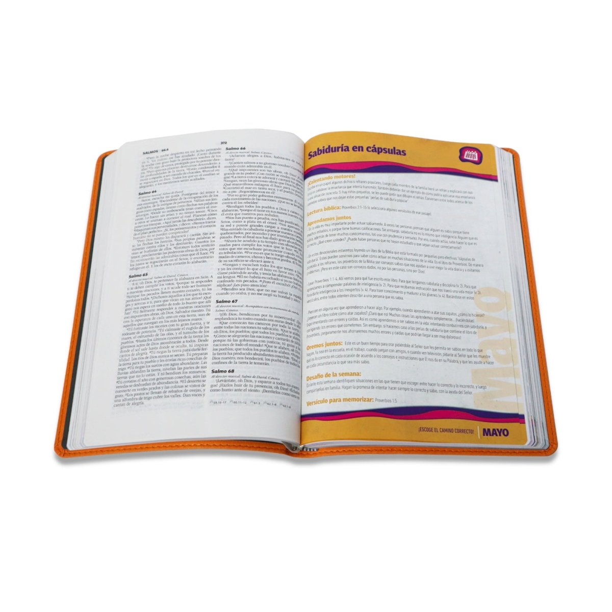 BIBLIA DEVOCIONAL FAMILIAR