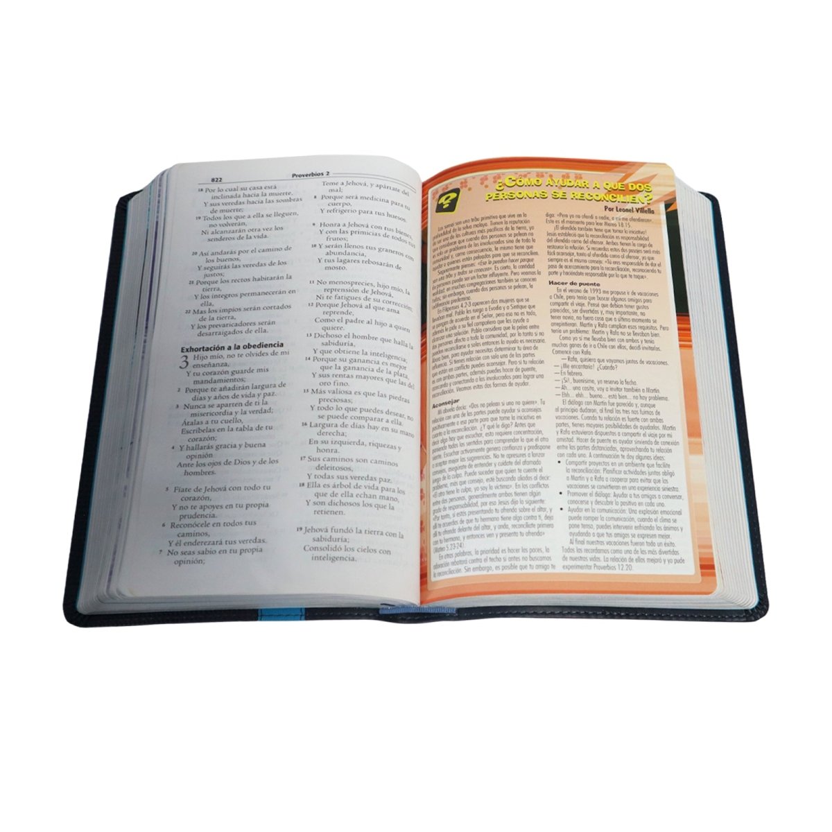 BIBLIA G3 CRECIMIENTO JUVENIL REINA VALERA