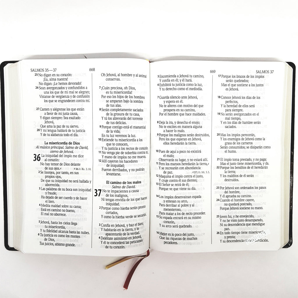 Biblia Letra gigante, Reina-Valera 1960 LUJO