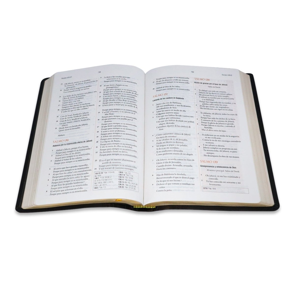 BIBLIA PARA LA GUERRA ESPIRITUAL EDICION LUJO NEGRO