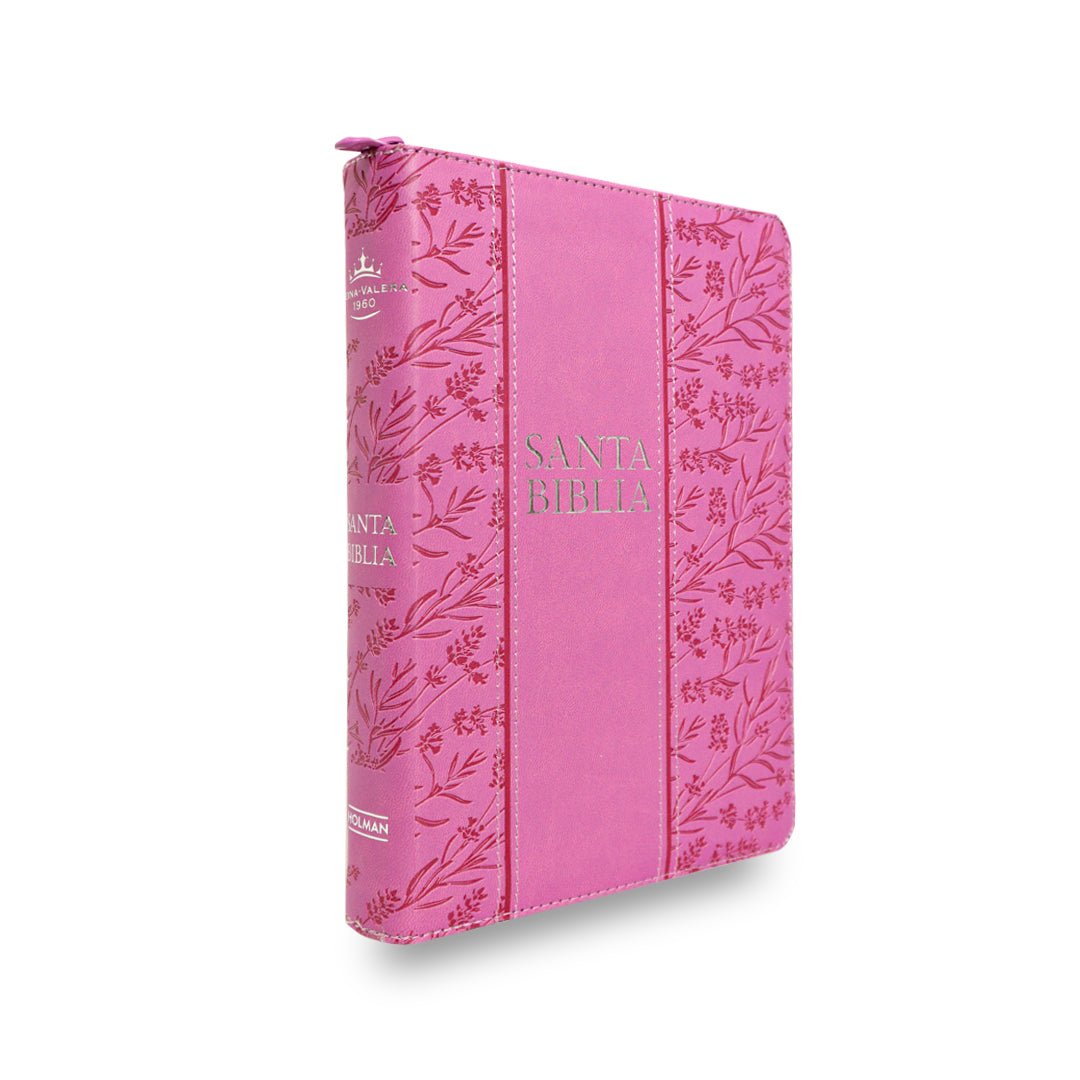 BIBLIA REINA VALERA 1960 TAMAÑO MANUAL LETRA GRANDE EDICIÓN LIMITADA (2TONOS)