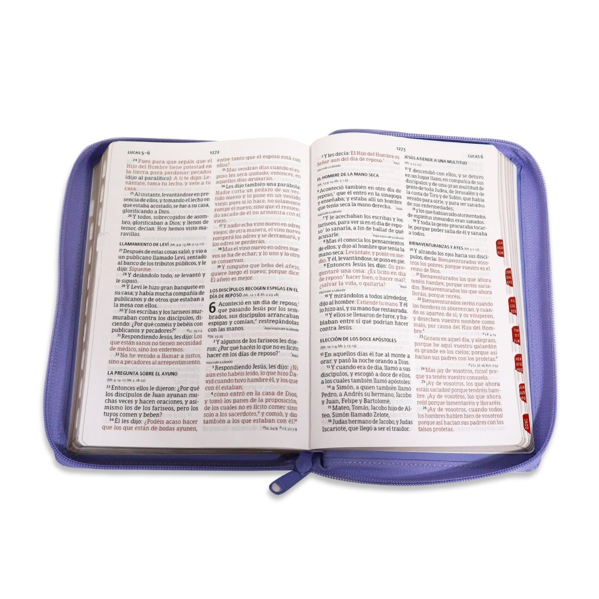 BIBLIA REINA VALERA 1960 TAMAÑO MANUAL LETRA GRANDE EDICIÓN LIMITADA (2TONOS)